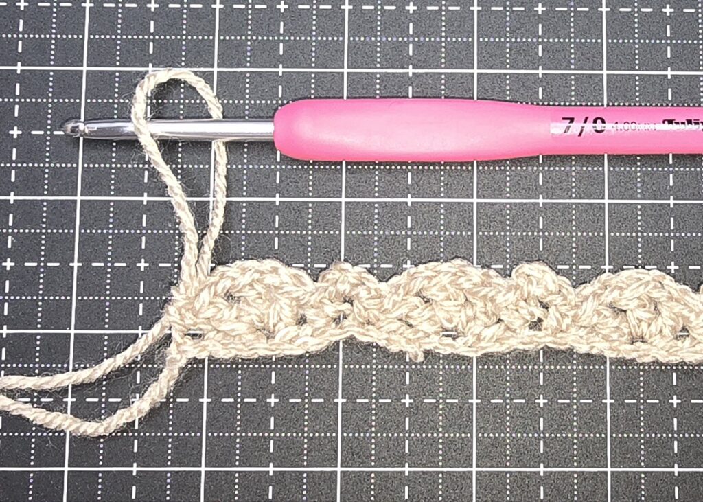 Beth's capture open shell and picot stitch row 1