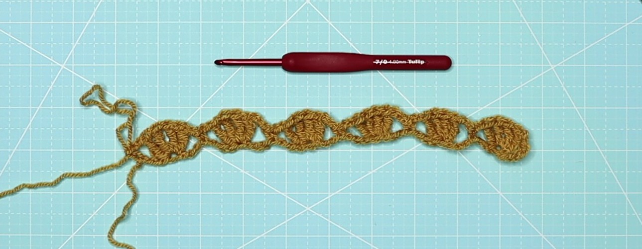 The shell petal stitch row 1